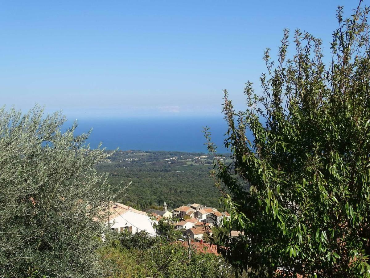 Casa Pentone Villa Cervione Dış mekan fotoğraf